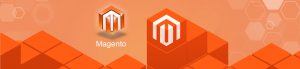 how to fix common magento issues