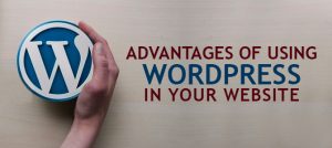 Advantages of using wordpress for your business website