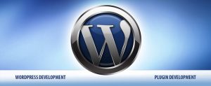 wordpress development