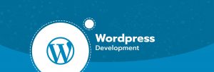 wordpress-development-for -business