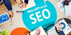 wordpress-seo-guide