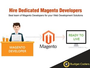 budget Coders Magento developer
