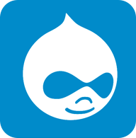 Drupal developer