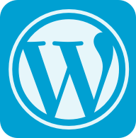 Wordpress developer