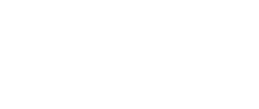 seo process